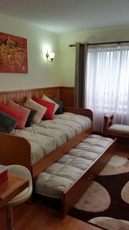 Apartamento Depto Parque Suizo 800 Pucón