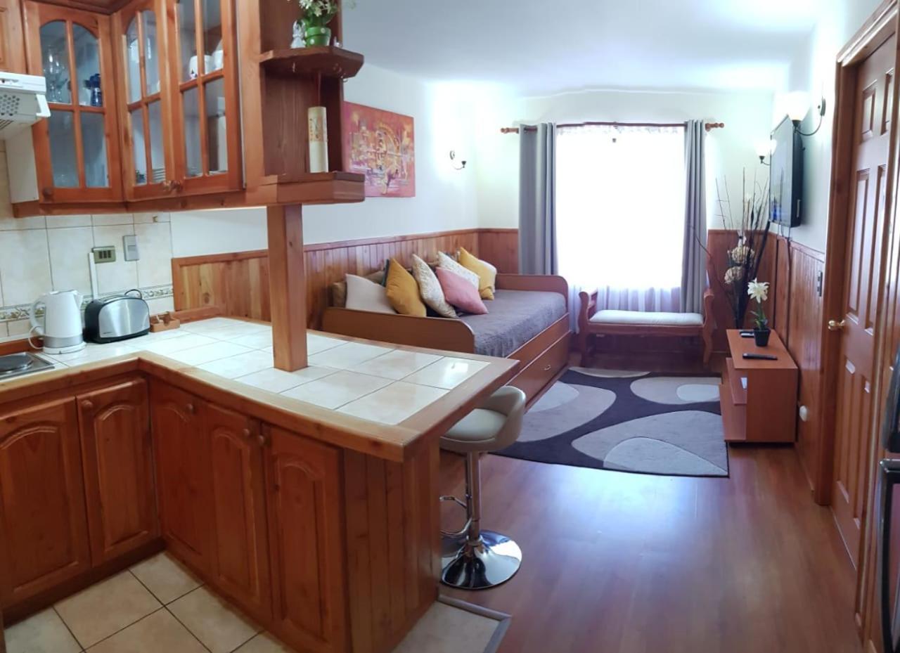 Depto Parque Suizo 800 Apartamento Pucón